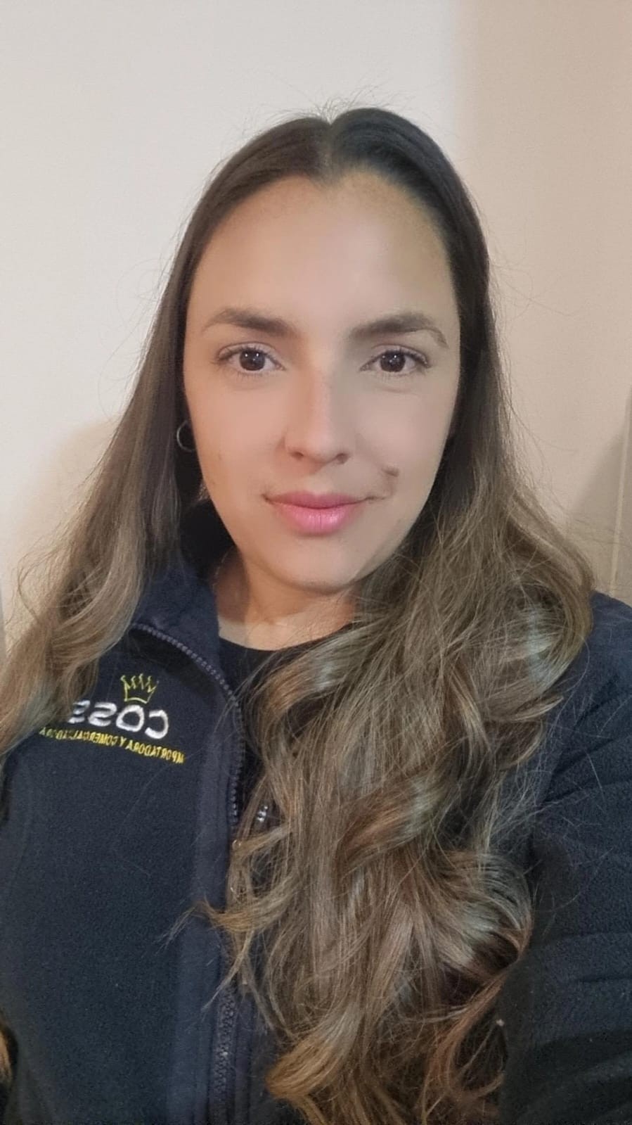 Ventas - DAYANA MONTILLA